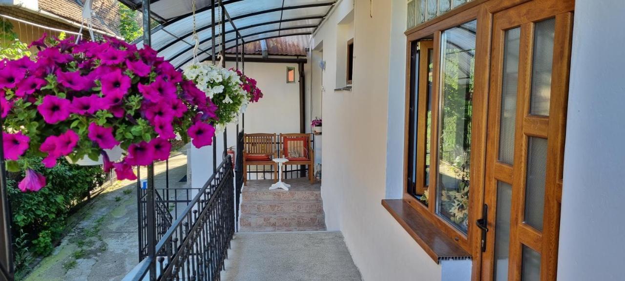 Citadel Rooms Клуж-Напока Екстериор снимка